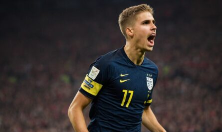 Nils Petersen » Vermögen und Karriere des Fußballspielers