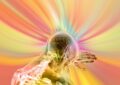 brain, think, communication, intelligent, data exchange, technology, esoteric, faith, futuristic, divine, spark, inspiration, religion, prophecy, intuition, idea, connectedness, brain, brain, brain, brain, brain, intuition